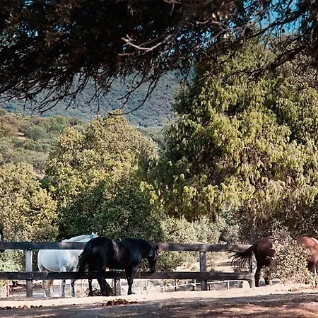 山林小屋 Lantero Horse & San Román