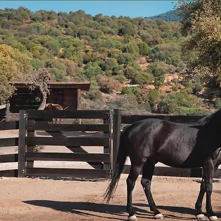 Lantero Horse & Lodge *