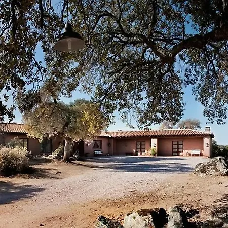 Lodge Lantero Horse &