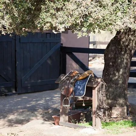 Lantero Horse & San Román